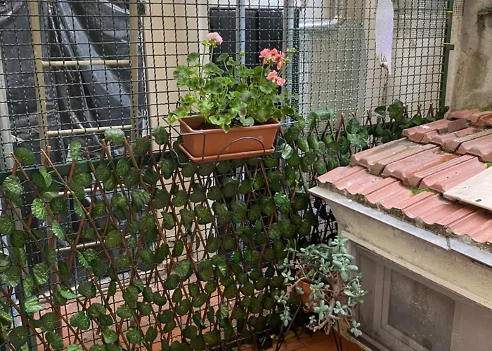 Casetta Manin Appartement